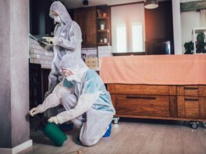 Dedetização preventiva em residências: por que é essencial?