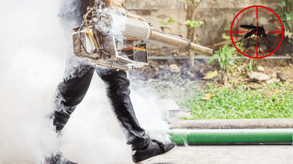 Como acabar com mosquito em casa